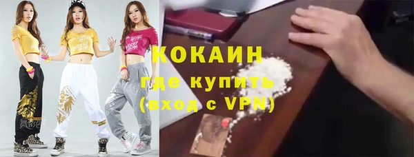 прущая мука Арсеньев