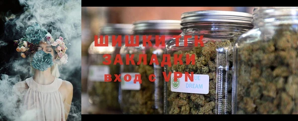 гашик Балахна